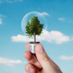 Fernando Trabach Filho analisa os dilemas e potencialidades da indústria petroquímica na transição energética para um modelo mais sustentável.