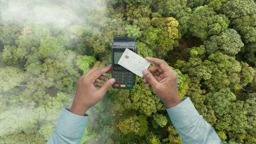 Créditos de carbono voluntário exigem alinhamento regulatório global, ressalta Leonardo Manzan.
