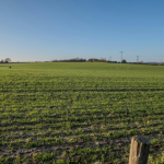 Com a visão de João Eustáquio De Almeida Junior, o crescimento estruturado passa pela atuação em diferentes estados como estratégia empresarial sólida e escalável.