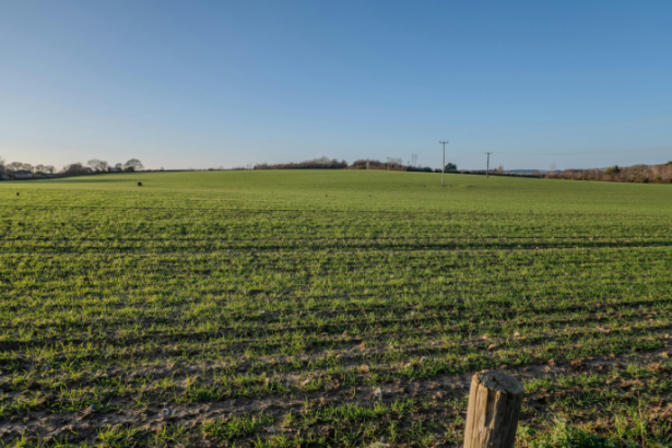 Com a visão de João Eustáquio De Almeida Junior, o crescimento estruturado passa pela atuação em diferentes estados como estratégia empresarial sólida e escalável.