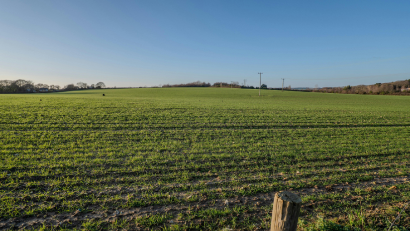 Com a visão de João Eustáquio De Almeida Junior, o crescimento estruturado passa pela atuação em diferentes estados como estratégia empresarial sólida e escalável.