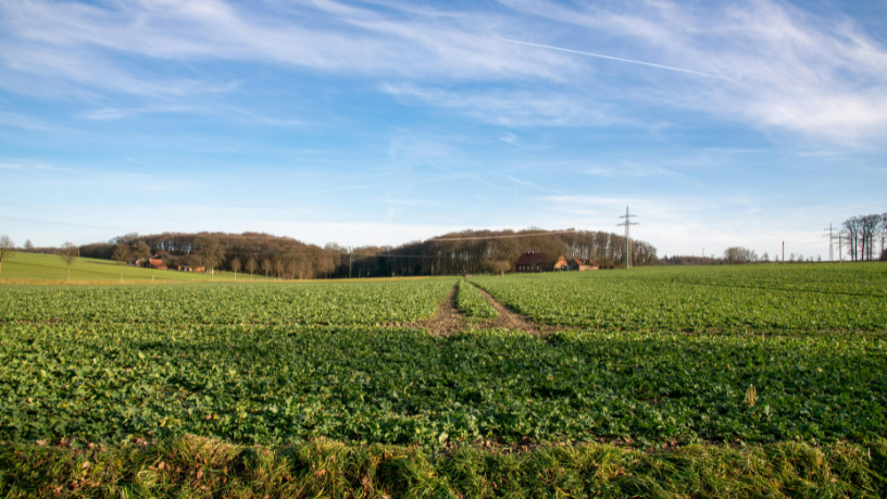 A experiência de João Eustáquio De Almeida Junior mostra como atuar em diferentes estados pode impulsionar um crescimento estruturado e sustentável para as empresas.
