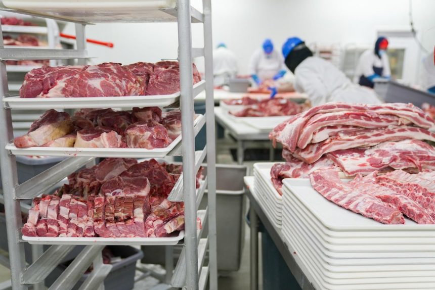 Trabalhadores usando equipamentos de proteção manipulam cortes de carne em uma unidade de processamento de alimentos.